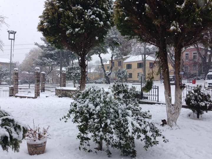 Elaia Hotel Bergama Exteriör bild