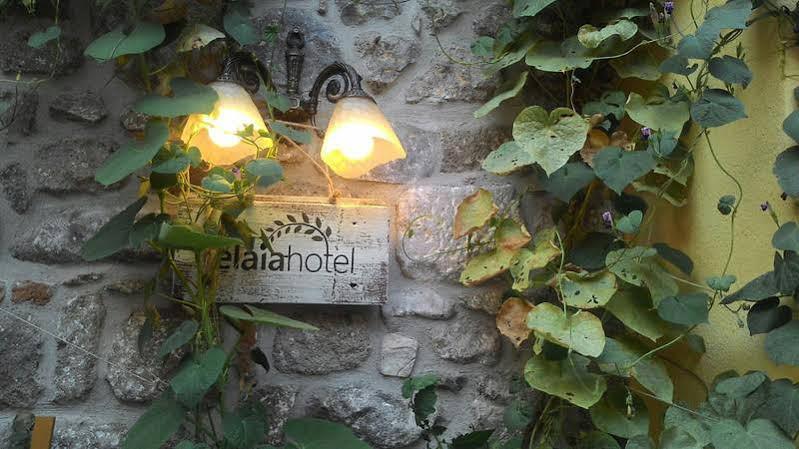 Elaia Hotel Bergama Exteriör bild